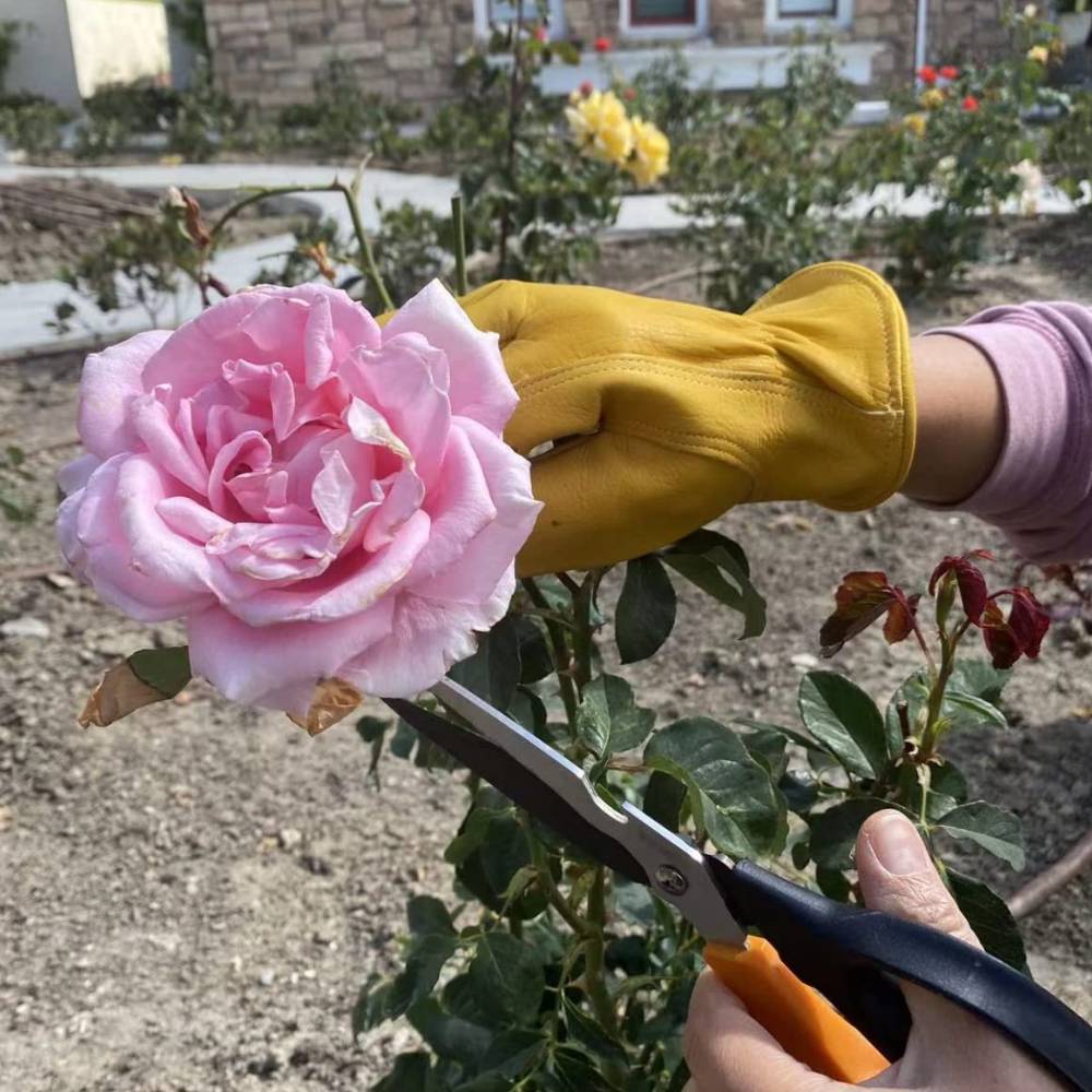 Gardeners Gloves (s-small)